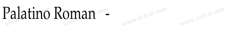 Palatino Roman 常规字体转换